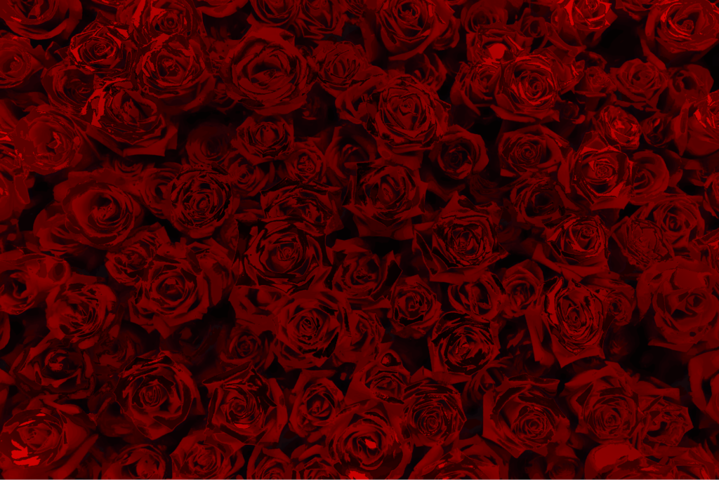 rosenrot rosenrot